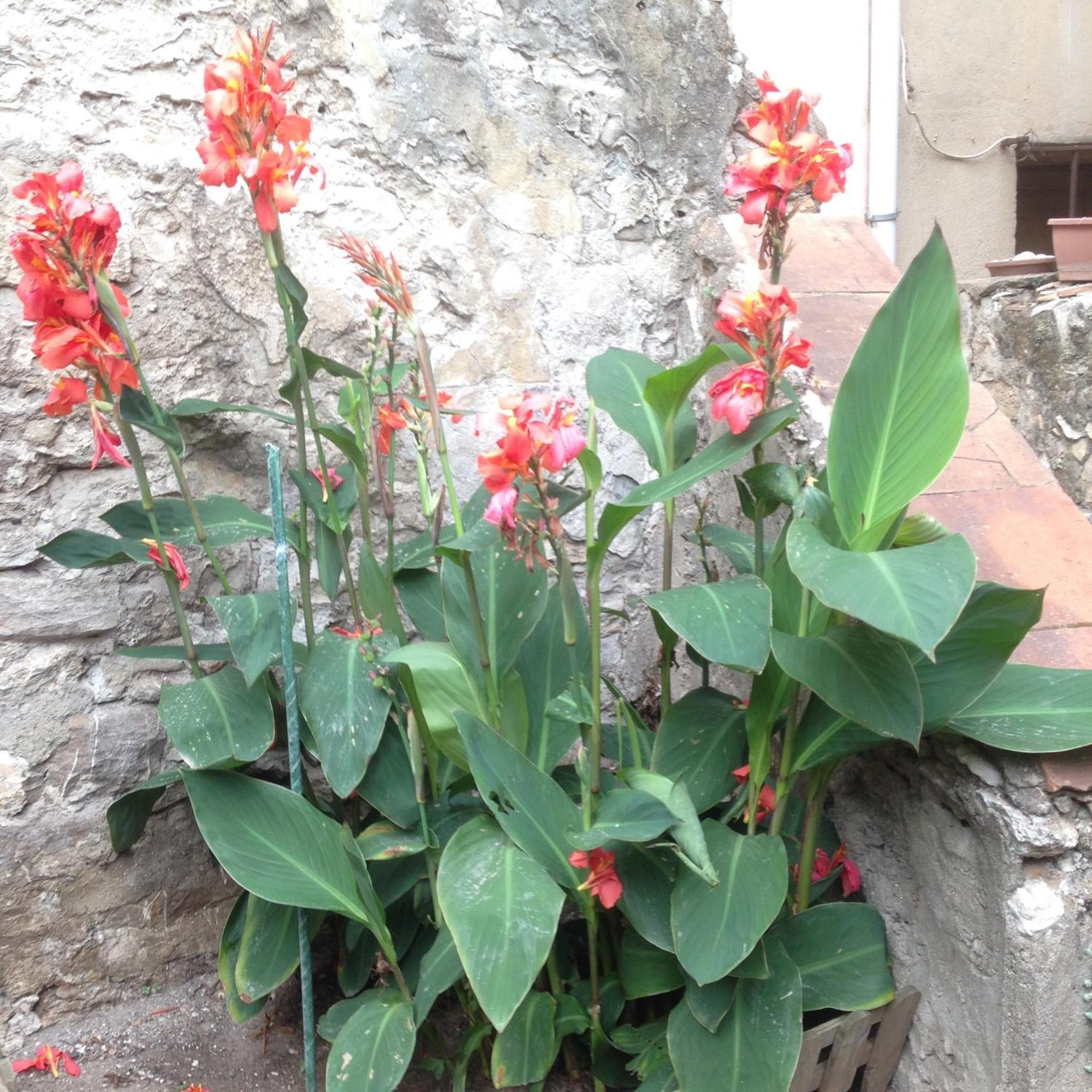 Appartamento La Terrasse Du Mole Sète Esterno foto